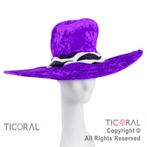 SOMB HS CAPELINA VIOLETA x 1